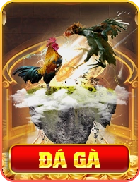 icon đá gà