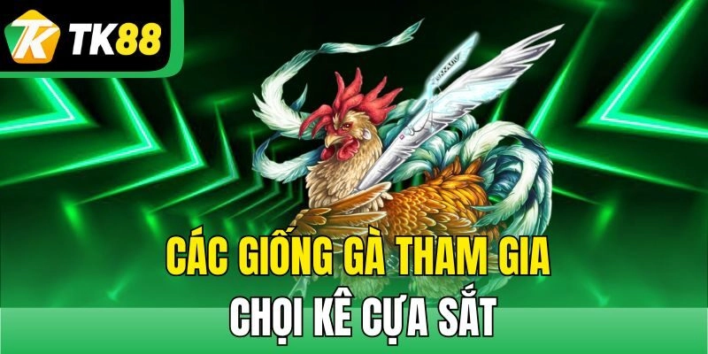 Các giống gà tham gia chọi kê cựa sắt