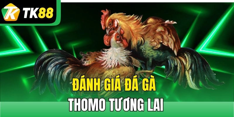 Đánh giá Đá gà thomo tương lai