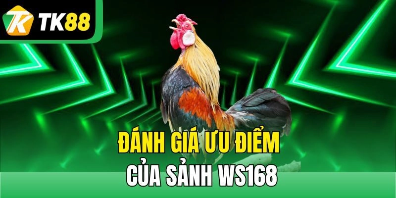 Đánh giá ưu điểm của sảnh Ws168