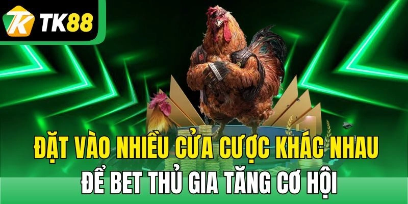 Đặt vào nhiều cửa cược khác nhau để bet thủ gia tăng cơ hội