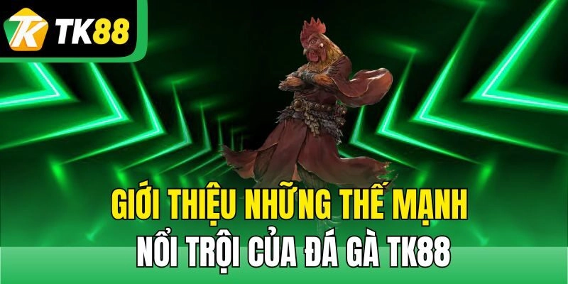 Giới thiệu những thế mạnh nổi trội của đá gà TK88