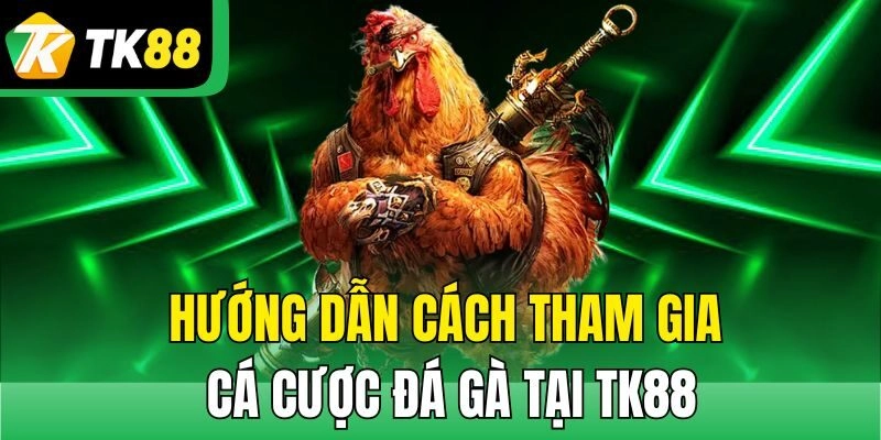 Hướng dẫn cách tham gia cá cược đá gà tại TK88