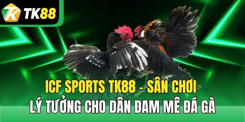 ICF Sports TK88 – Sân Chơi Lý Tưởng Cho Dân Đam Mê Đá Gà