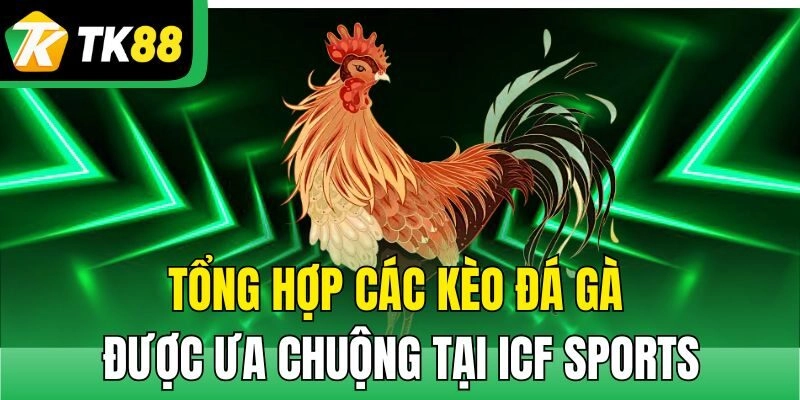Tổng hợp các kèo đá gà được ưa chuộng tại ICF Sports