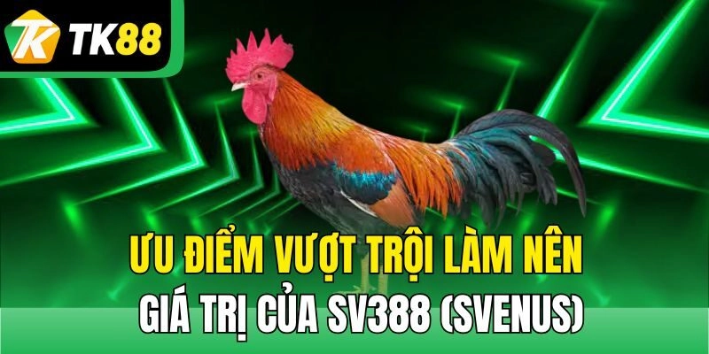 Ưu điểm vượt trội làm nên giá trị của SV388 (Svenus)
