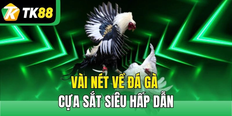 Vài nét về đá gà cựa sắt siêu hấp dẫn